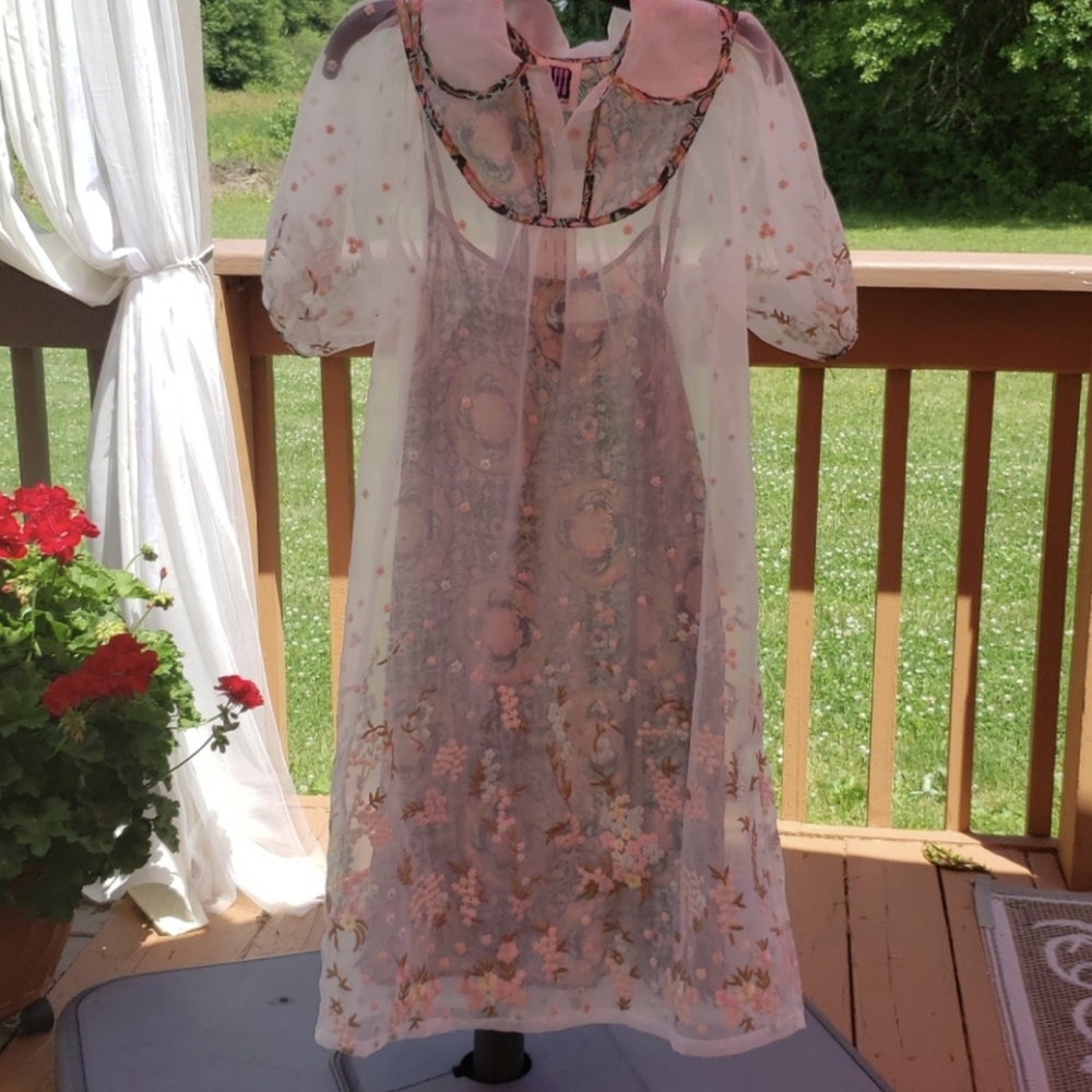 Anna Sui Organza Sheer Embroidered Floral Dress